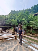 Thành Tâm