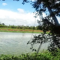 Minh Khanh 