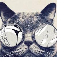 DDR CAT