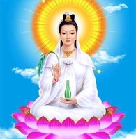 Hai lúa miền tây 