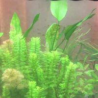 Đời Là Thế Thôi