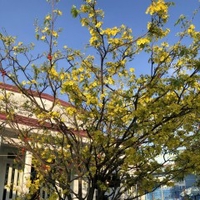 Khánh 