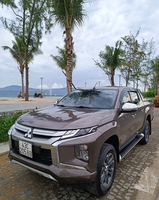 VIỆT TRITON 