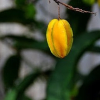 dịch vụ trọ sinh viên