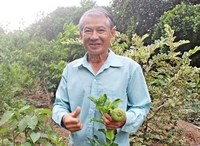 Út Thành