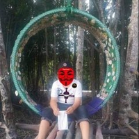 Vi Khánh