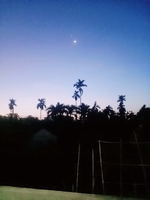 Hoàng Phúc 