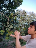 Mr Nguyen 