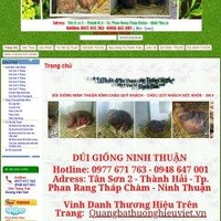 Ninh Thuận Dúi Giống