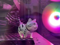 chú hai miền tây