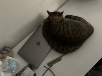 Phạm Nguyên Bách