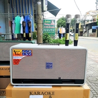 Loa Karaoke Loa Bluetooth Loa Di Động Xách Tay Giá Rẻ Đà Nẵng