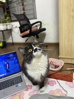 Duy