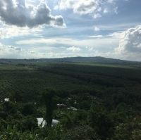 Hiếu nguyễn