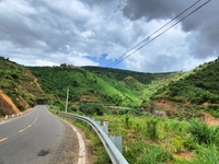 Hoàng Bách