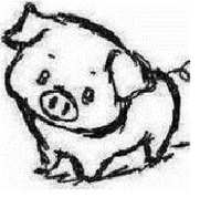 Nguyễn Xuân Phương