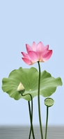 Nguyễn Đức