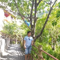 Tôn Quyền