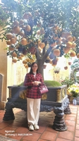 Trần Nga