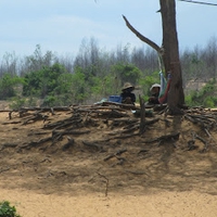 Trí Thông Nguyễn