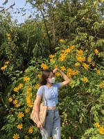 Nguyễn Thị Thanh Tuyết