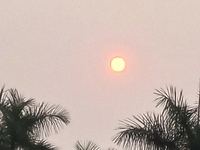 Tạ Hiểu Phong
