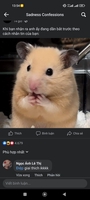 Ngô Điệp