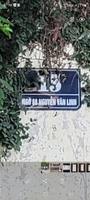 hưng thiện 
