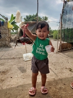 Hoa Trần