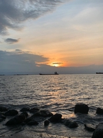 Tấn Phát