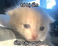 hihi