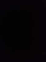 Bơ 10 Củ