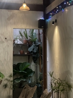 Hải Đăng
