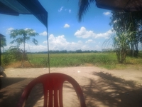 Hoàng Nguyễn Hồng Ân