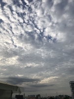 Nguyễn thành nghĩa