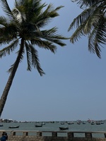 Ôi Gì Thế