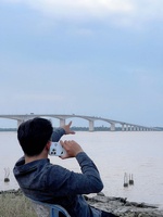 Thái Tử 