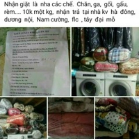 Hoa Phan