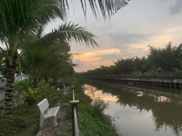 Tôn Bảo 