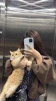thu trang 