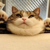 Nguyễn Văn Hoàng Anh