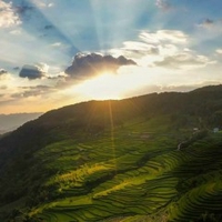 Đức Trần