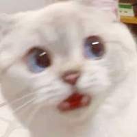 Nhi Nhi