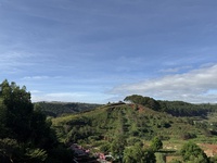Huy Hoàng