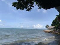 Hữu