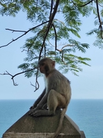 Nguyễn Quốc Bảo