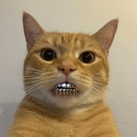 Minh Minh