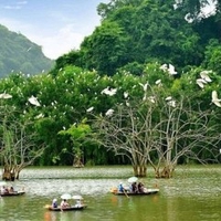 Nguyễn Trung Kiên