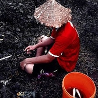 39. Điểu Tuế