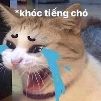 hoan hoang